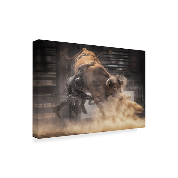 Larry Deng 'Orangeville Ram Rodeo' Canvas Art,22x32